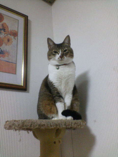 20071112234256.jpg