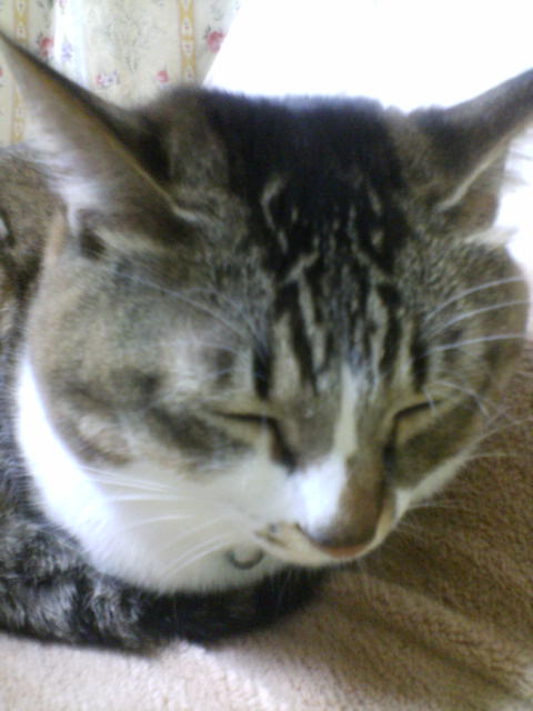 20071128204028.jpg